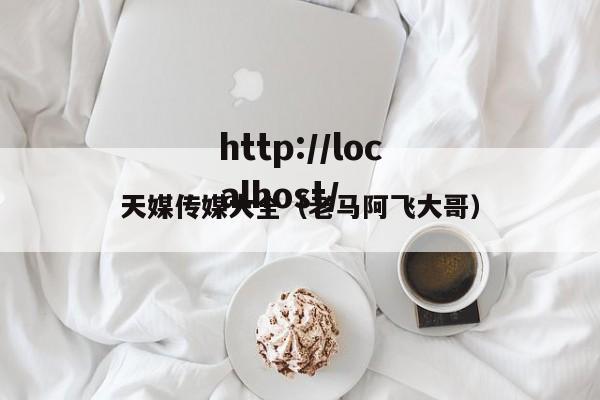 天媒传媒大全（老马阿飞大哥）